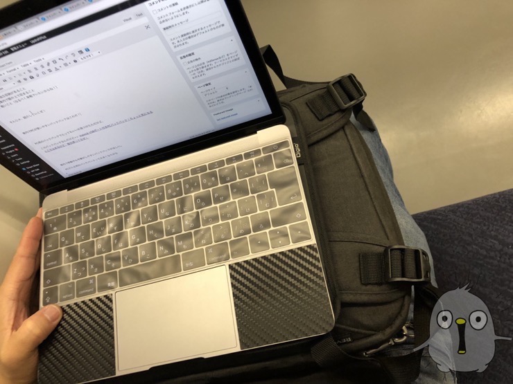 電車内でpc使うならこのバックパック 膝の上に収まる絶妙サイズ Pc独立収納部有 デイリーもち Com
